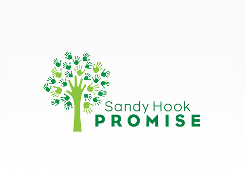 Measuring digital campaign effectiveness for educational campaign The Sandy Hook Promise